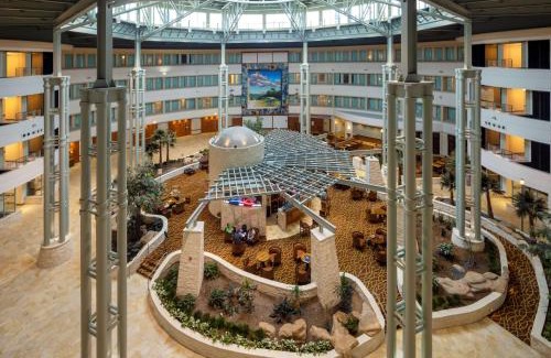 Austin Hotel | Hilton Austin Airport