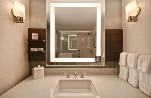 Romulus Hotel | Hilton Garden Inn Detroit Metro Airport