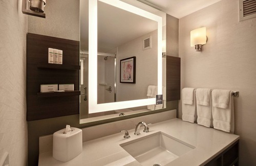 Romulus Hotel | Hilton Garden Inn Detroit Metro Airport