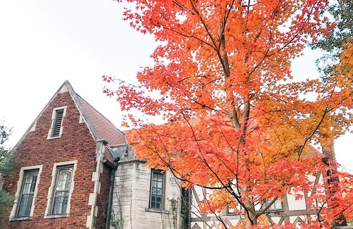 Central Gardens House | Historic Midtown Chateau + Guest House - Minutes from Everything