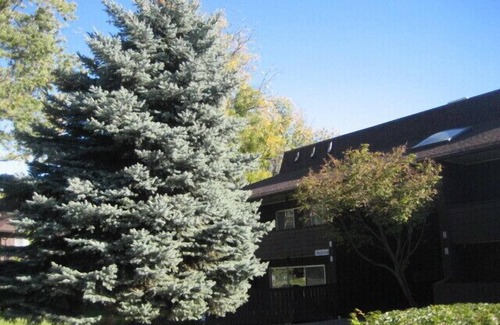 Walla Walla Condo | Historic Neighborhood - Near Whitman College - Quiet Location (Roku HDTV Stream)