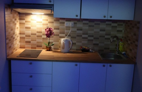 University District Apartment | HISTORIC UNIQUE GROUND FLOOR APARTMENT