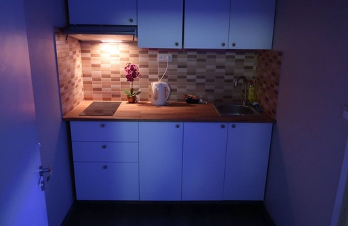 University District Apartment | HISTORIC UNIQUE GROUND FLOOR APARTMENT