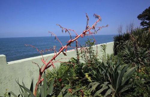 Chakvi Apartment | Hitas house