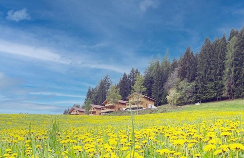 Liebenfels Ski Chalet | Hochleben-Chalets am Erlebnisbauernhof Steinerhof
