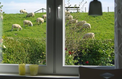 Schillig Apartment | Holiday apartment in Halstenbek