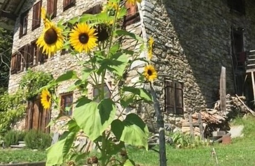 Reichenbach Apartment | Holiday apartment Hasliberg Hohfluh for 2 - 5 persons with 1 bedroom - Holiday apartment in a farmho