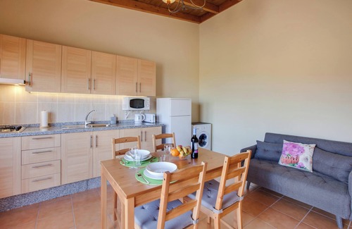 La Mancha House | Holiday Apartment "Casa Quemahierro 2" with Teide View, Pool and Garden