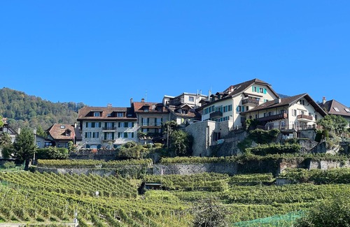 Montreux Apartment | Holiday apartment Chailly-Montreux for 1 - 3 persons with 1 bedroom - Holiday apartment in one or mu