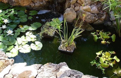 Bras Apartment | Holiday apartment Bras for 1 - 3 persons - Holiday apartment