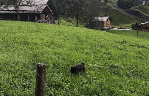 Grindelwald Ski Chalet | Holiday apartment Grindelwald for 1 - 4 persons with 2 bedrooms - Farmhouse