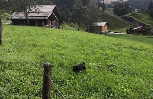 Grindelwald Ski Chalet | Holiday apartment Grindelwald for 1 - 4 persons with 2 bedrooms - Farmhouse