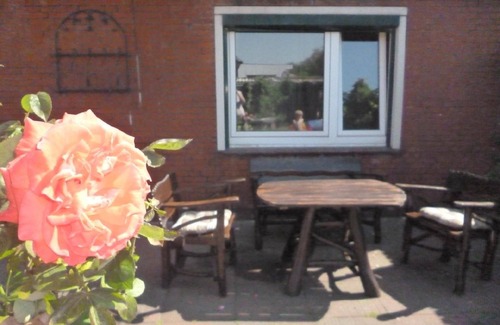 Hinte Apartment | Holiday apartment Hinte for 1 - 2 persons with 1 bedroom - Holiday apartment in one or multi-family