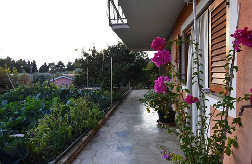 Basanija Apartment | Holiday apartment in a quiet location and near the beach