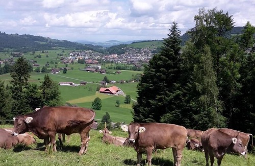 Unterageri Other | Holiday apartment Unterägeri for 1 - 4 persons with 1 bedroom - Farmhouse