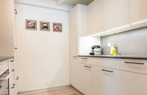 Central Interlaken Apartment | Holiday apartment Unterseen for 1 - 4 persons with 1 bedroom - Holiday apartment