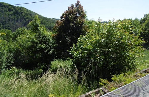 Waldbreitbach Apartment | Holiday flat in Waldbreitbach with whirlpool