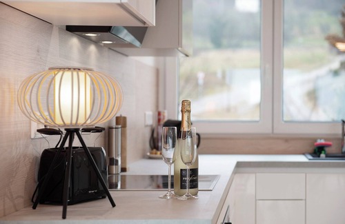 Ludwigshafen House | Holiday Home 'Aura Gesamt' with Private Terrace, Private Garden and Wi-Fi