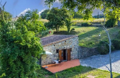 Castellina in Chianti House | Holiday Home Cerretino - Tettoia by Interhome