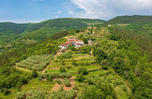 Golubici House | Holiday Home Belveder Motovun with heated pool
