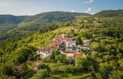 Golubici House | Holiday Home Belveder Motovun with heated pool
