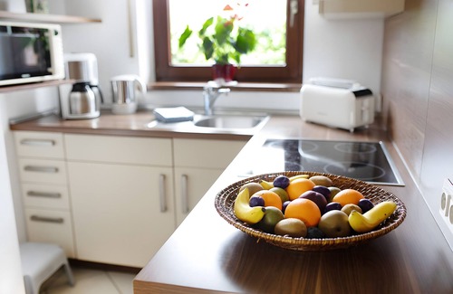 Friedrichskoog House | 'Holiday Home Britschock' with Private Terrace, Garden and Wi-Fi