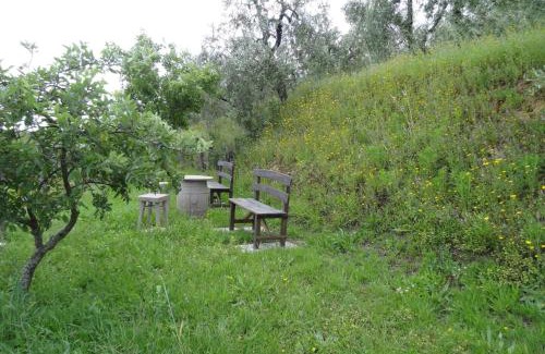 Lamporecchio House | Holiday home Cerbaiola, Lamporecchio