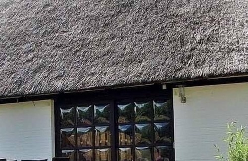 Stinteck House | Holiday home for 6 guests with 110m² in Westerdeichstrich (149601)