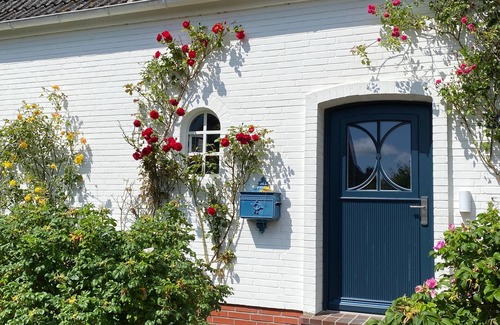 Oldsum House | Holiday home for 7 guests with 110m² in Oldsum (105502)
