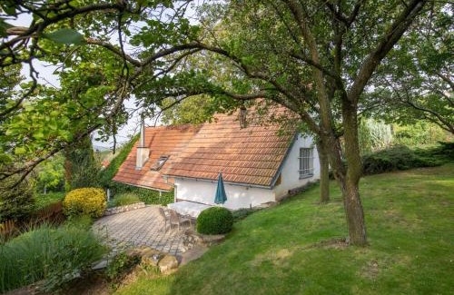 Horni Vestonice House | Holiday Home Horní Věstonice by Interhome