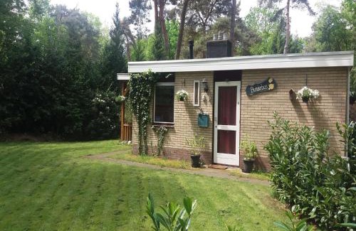Hoogengraven House | Holiday Home in Arriën near Beerze Nature, cleaning included