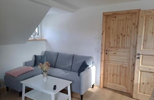 Oelsnitz House | Holiday home in Oelsnitz with swimming pool