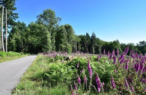 Saizy House | Holiday Home in Saizy with Stargazing Garden