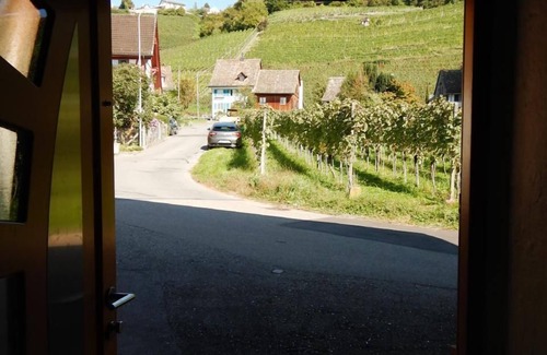 Meilen District House | Holiday home in the vineyard