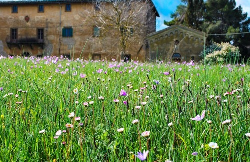 Saline di Volterra House | Holiday Home in Volterra With Pool and Terrace
