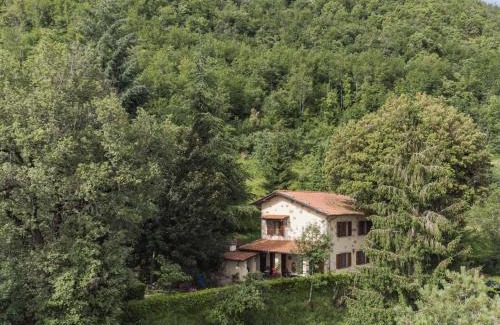Camaiore House | Holiday Home La Quercia by Interhome