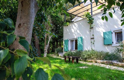 Krnica Villa | Holiday Home Mikula