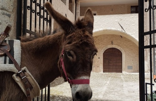 Goriano Valli Apartment | Holiday home “Orso” - Spacious apartment in a historic palazzo