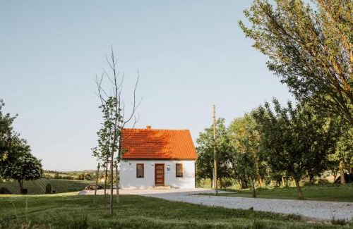 Gornji Mihaljevec House | Holiday home The view