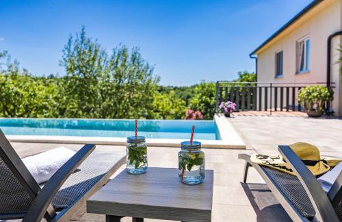 Trviz House | Holiday Home with pool and garden