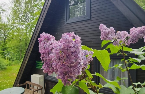 Bad Arolsen House | Holiday house Bad Arolsen for 1 - 5 persons with 3 bedrooms - Holiday house