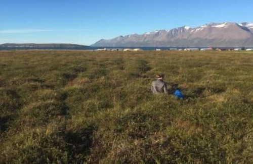 Hauganes House | Holiday house Hrísey for 1 - 4 persons with 2 bedrooms - Holiday home