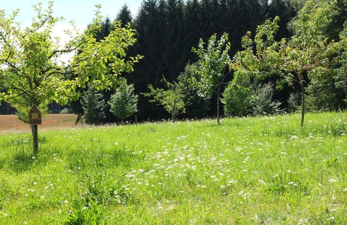 Rodenbach bei Puderbach House | Holiday house in a fantastic secluded location in the Westerwald