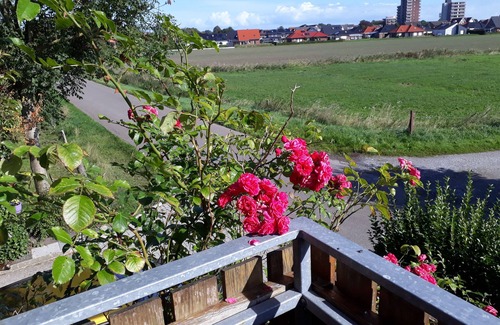 Horumersiel Apartment | Holiday house in the best quiet outskirts of Horumersiel