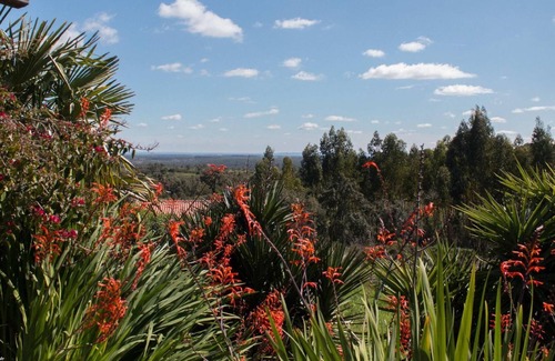 Santiago do Cacem House | Holiday house Santiago do Cacém for 1 - 4 persons with 2 bedrooms - Twin house