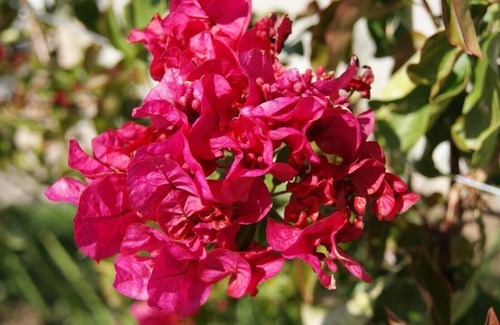 Robertson House | Holiday house Robertson for 1 - 7 persons with 3 bedrooms - Holiday home