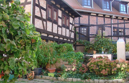 Wolgast Apartment | Holiday house Sontag - Holiday house