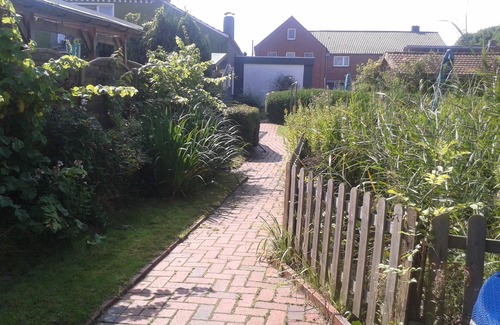 Westeraccumersiel Cabin | Holiday in a simple, rustic log cabin, beach about 1000 meters, sun terrace