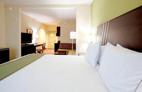 Clemson Hotel | Holiday Inn Express Hotel & Suites Clemson - University Area by IHG