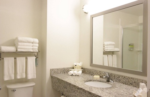 Montgomery Hotel | Holiday Inn Express & Suites Montgomery by IHG